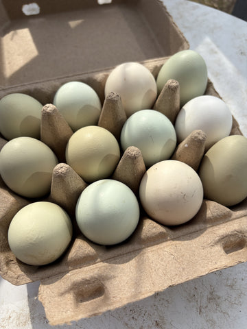 1 Dozen Farm Fresh Eggs