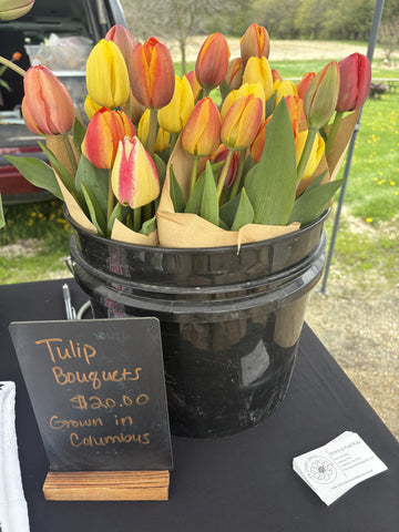 Tulip Bouquets
